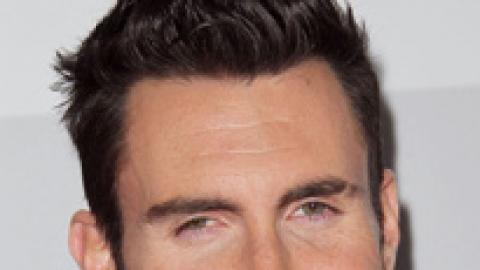 Adam Levine, Will.i.am e Lea Michele estão na lista de reeleição de Obama