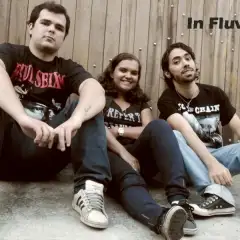 In Fluvius