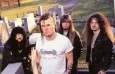 pantera - Fotos