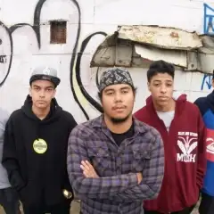 Verme HC